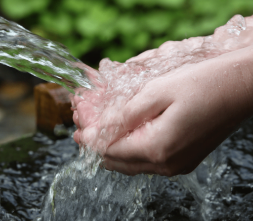 ><noscript><img src=